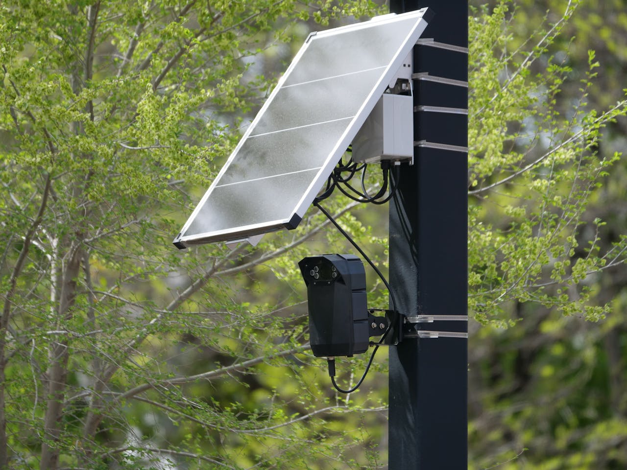 Solar-powered surveillance camera on a street pole surrounded by greenery, highlighting modern urban technology.
